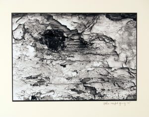 Landscape 2 300x236