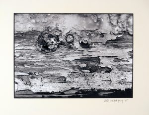Landscape 3 300x231