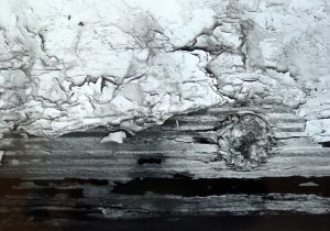 Landscape 4 300x210